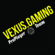 VeXuS.Gaming