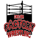 Sklep Dream Factory Wrestling