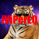 iViPerEQ