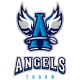 Angels Toruń - Fan Store - Klub Futbolu Amerykańskiego