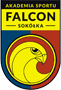 asfalcon