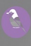 PurpleBird